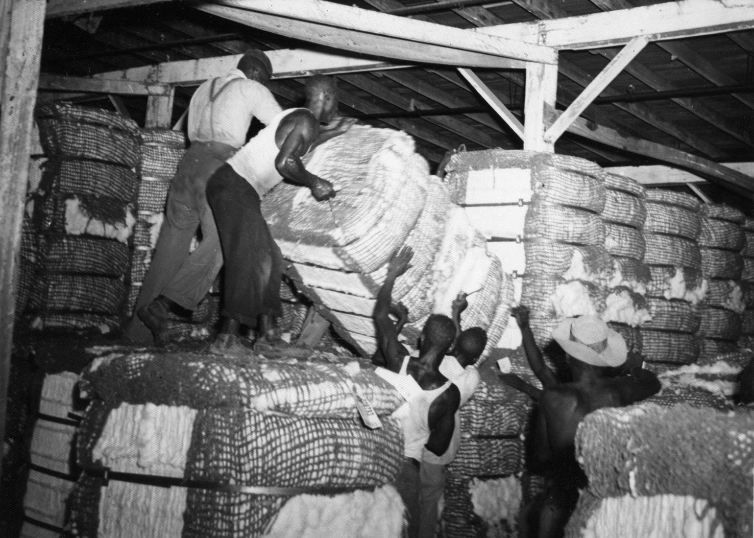 Loading cotton at compress 1940s